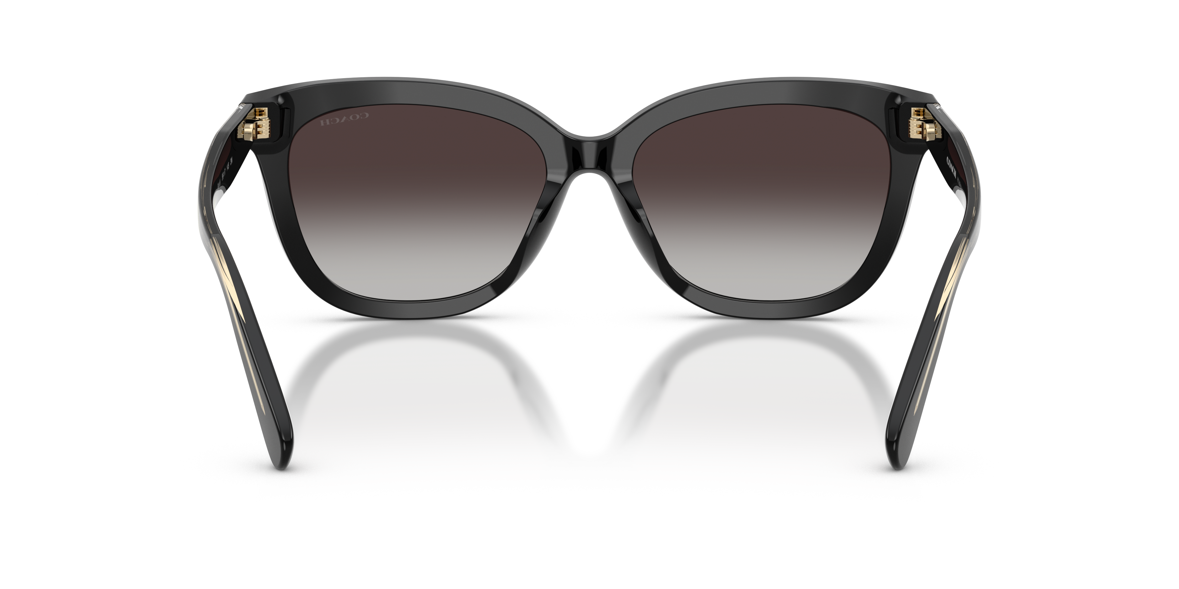 Coach HC8453U 50028G Cdp53 